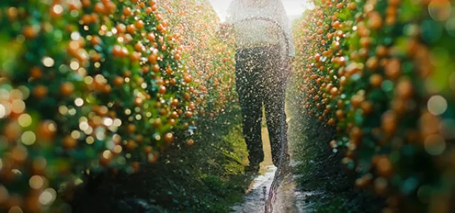 Understanding Extended Care Insights | Financial Partners